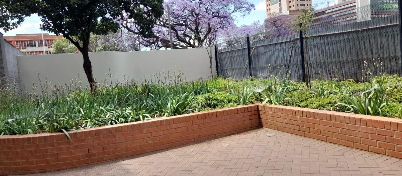 Completed urban courtyard with raised planted beds