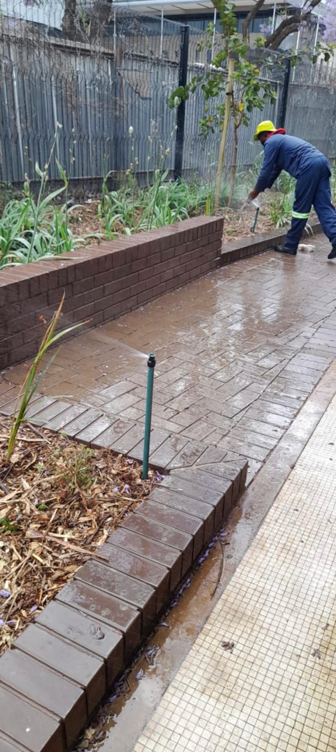 Irrigation system establishing a planted public garden